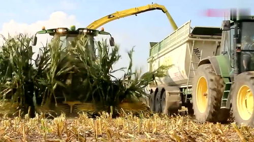 美国玉米收割机,看看什么叫农业生产的效率,美国牛是有道理的